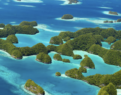 "Palau Paradise Express"