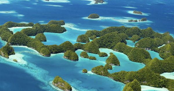 "Palau Paradise Express"